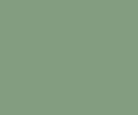 LB pg I 01A | 8 1/2 X 11,#60 GREEN PASTEL , 10 SHEETS PACK