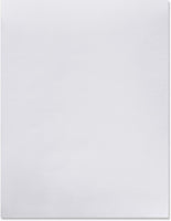 NEE 01525 | 8 1/2 x11,#65 COVER  AVON BRILLIANT WHITE, CLASSIC LAID, 250 SHEETS