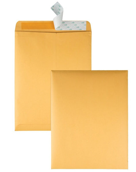 QP 38597 |  10 X 13, #28 BROWN KRAFT, CATALOG ENVELOPES, CLASP, 100 BOX